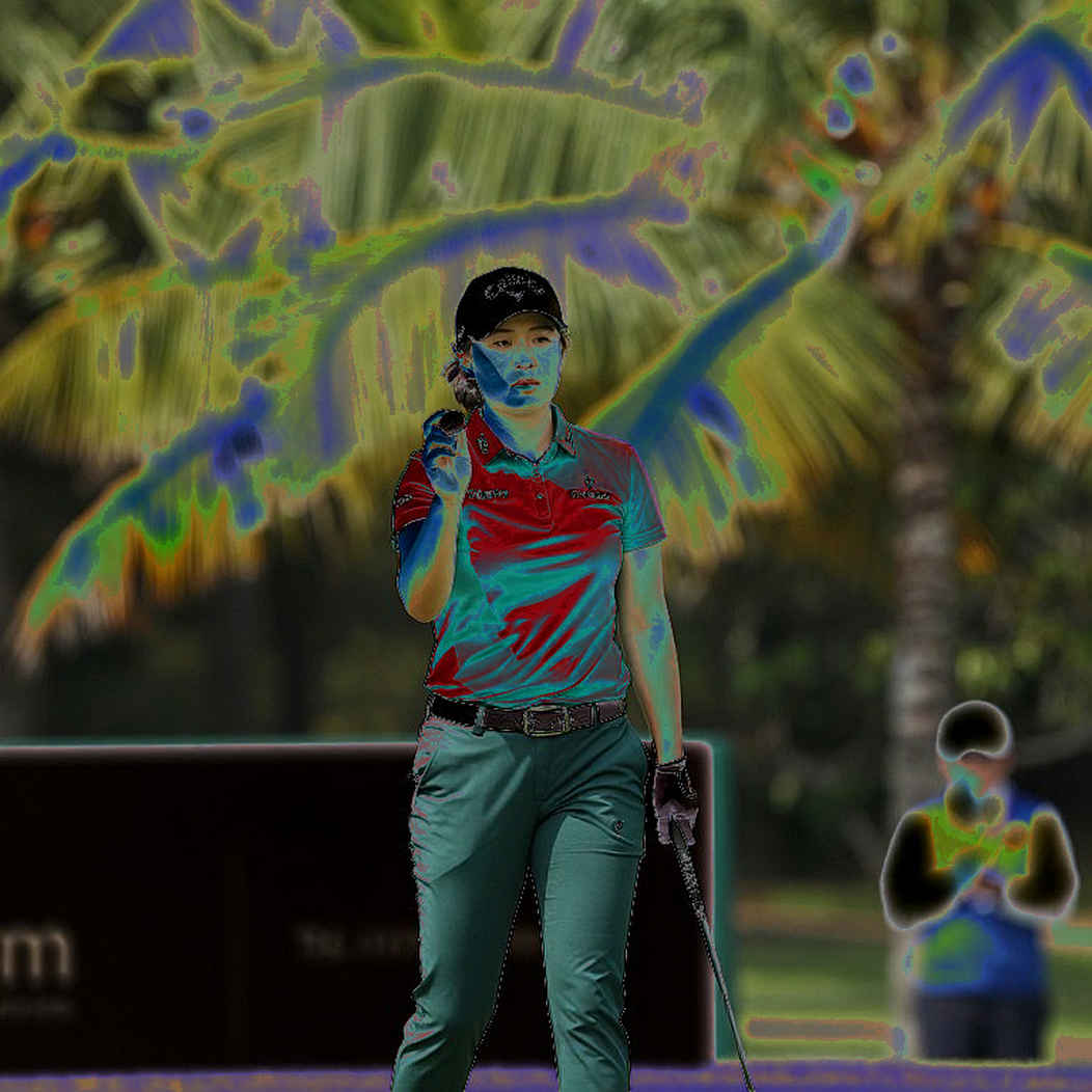 Số Liệu Không Nói Dối: Vì Sao Golf Việt Nam Đang Ở Ngã Rẽ Lịch Sử Số Liệu Không Nói Dối: Vì Sao Golf Việt Nam Đang Ở Ngã Rẽ Lịch Sử