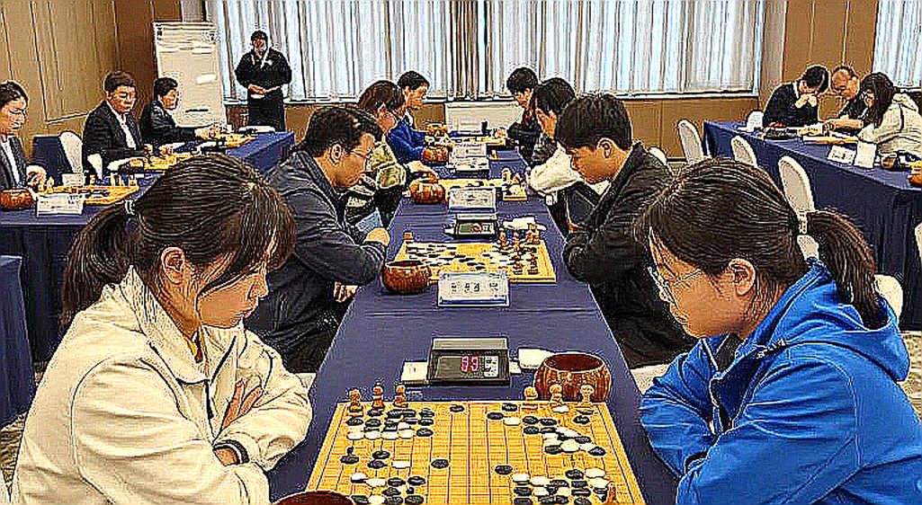Elephant Gambit và dòng tít 11 tuổi: hai câu chuyện không gặp nhau