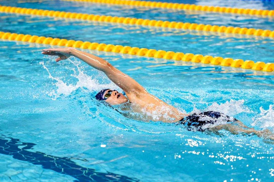 When Models Collapse: Lessons from an Empty Pool