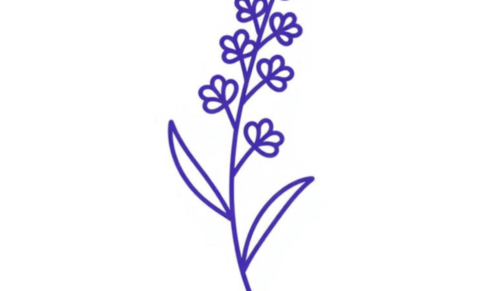 Không có nội dung bài viết để phân tích