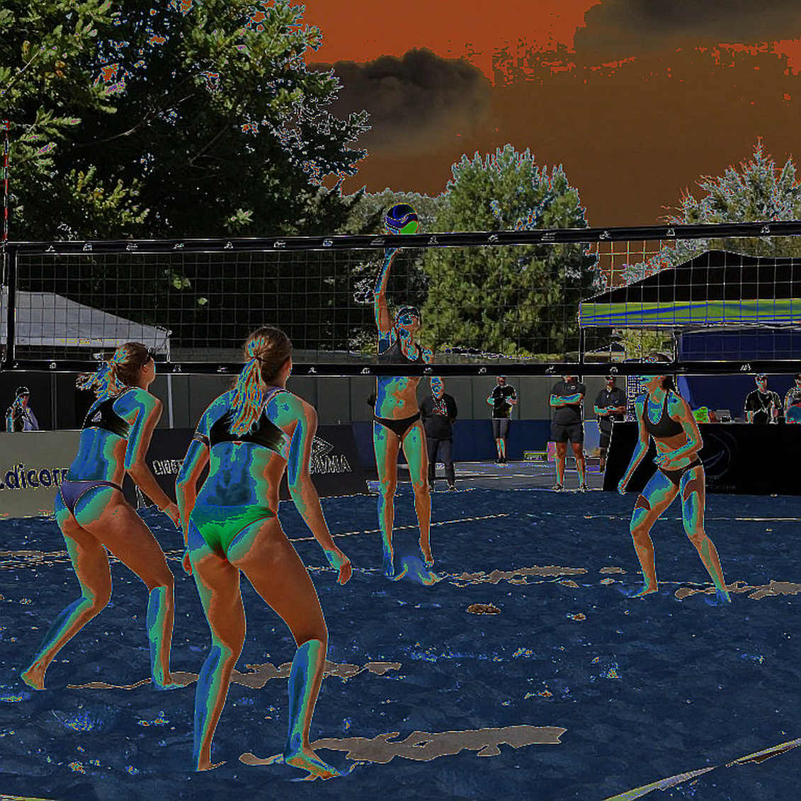 Egypt win African Women's Volleyball Championship and secure first Olympic berth: the data gap behind the gold Egypt win African Women's Volleyball Championship and secure first Olympic berth: the data gap behind the gold